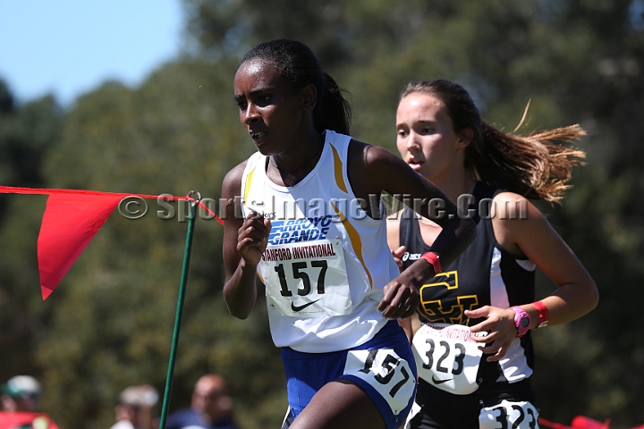 2015SIxcHSSeeded-239.JPG - 2015 Stanford Cross Country Invitational, September 26, Stanford Golf Course, Stanford, California.